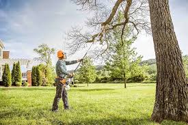 Mulching Services in Loch Lomond, VA